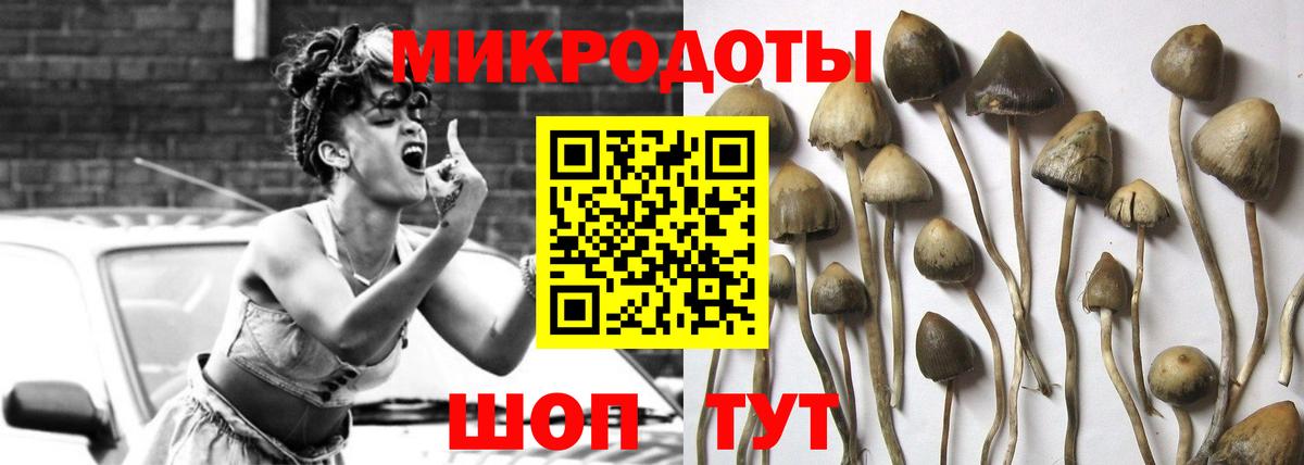 Берёзовский  Галлюциногенные грибы Psilocybe  где купить наркоту  Вход с VPN 
