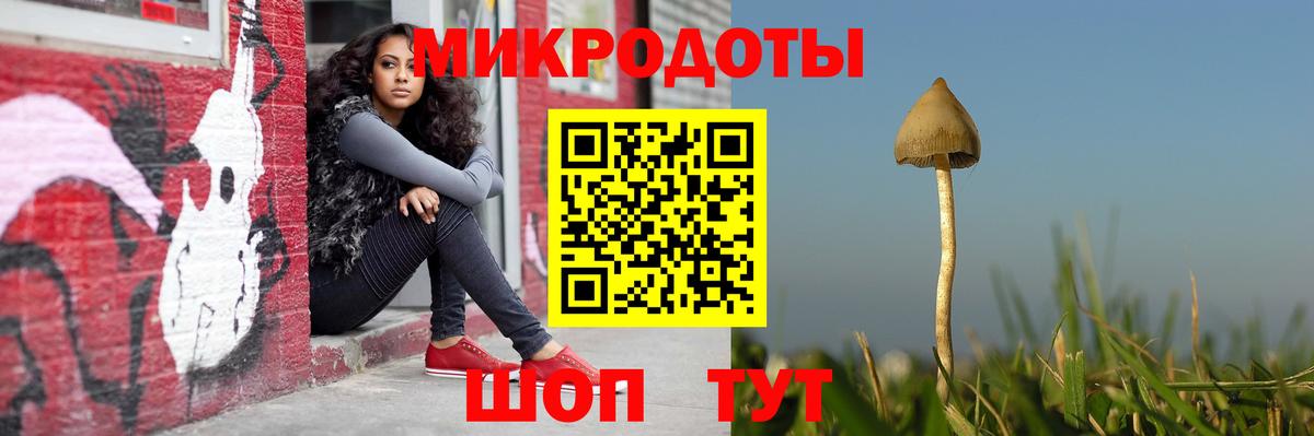 Псилоцибиновые грибы мицелий Берёзовский